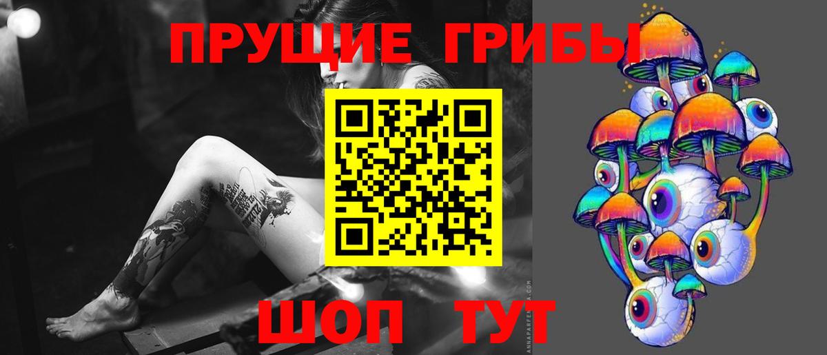 Псилоцибиновые грибы GOLDEN TEACHER  Вход с VPN  Саки 