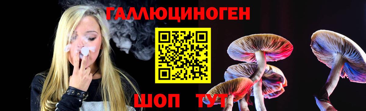 Галлюциногенные грибы прущие грибы Саки