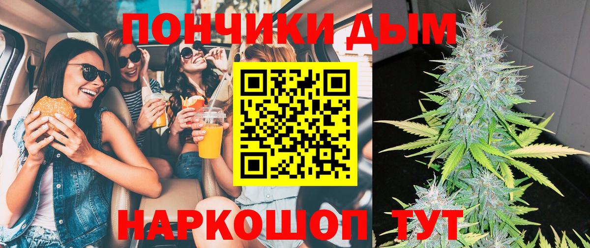 Каннабис семена  Вход с VPN  Бошки Шишки OG Kush  Саки 